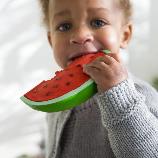 L-WALLY THE WATERMELON_UNIT_4 (9) L-WALLY THE WATERMELON_UNIT_4 (9)